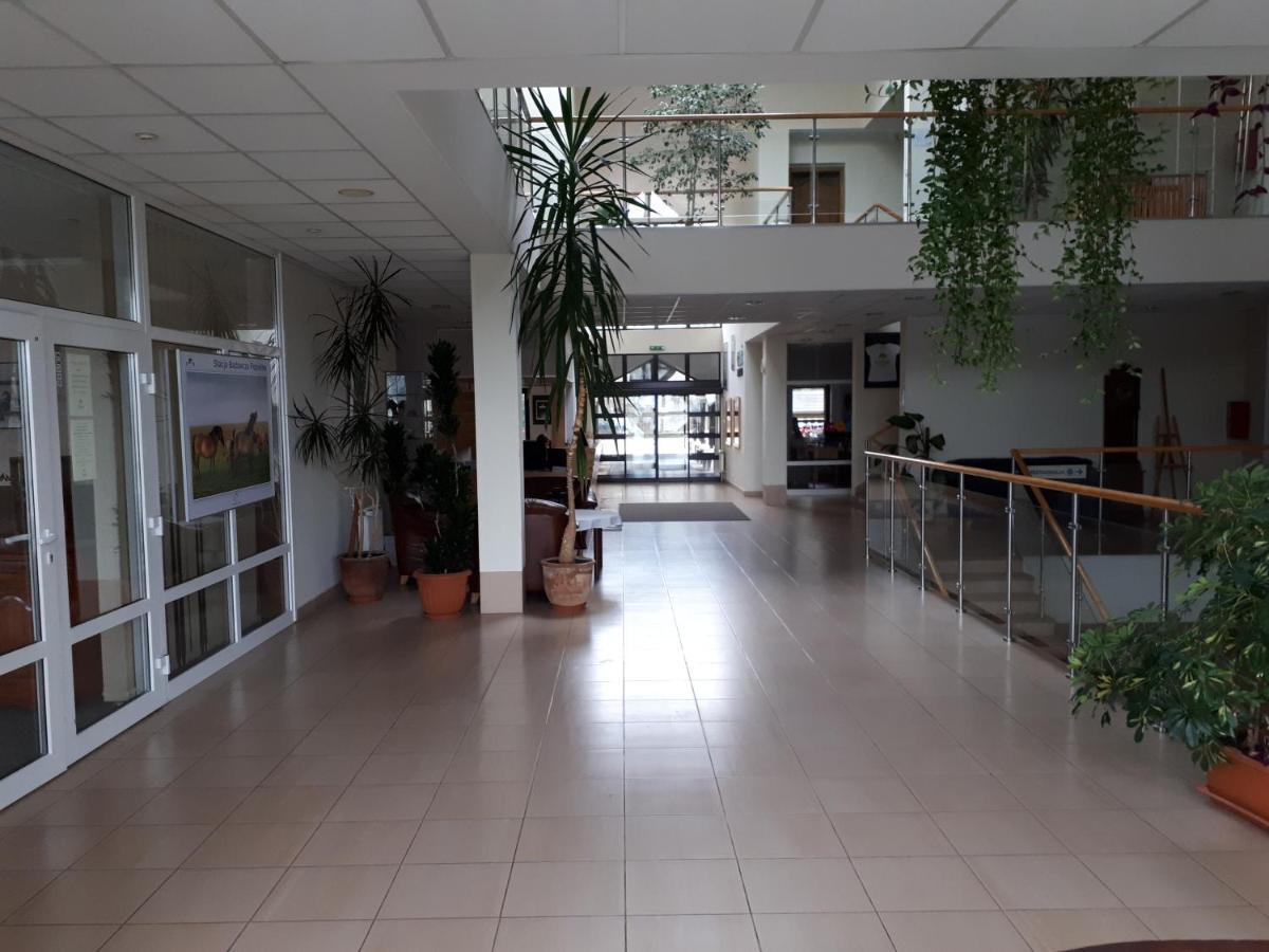Pan Dom Pracy Tworczej W Wierzbie Wierzba Kültér fotó